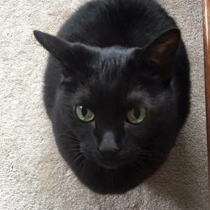 Meet your Posher, Cindy